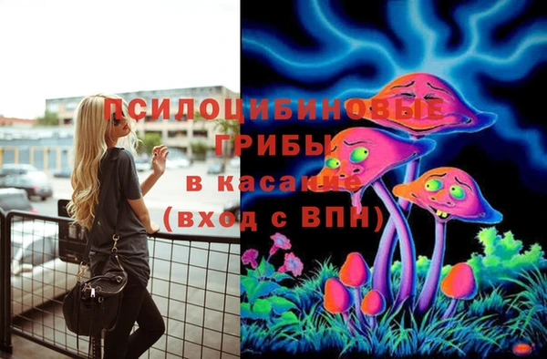 jwh Абаза