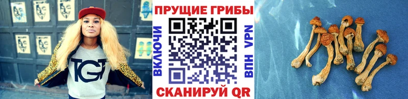 Галлюциногенные грибы мицелий Таганрог